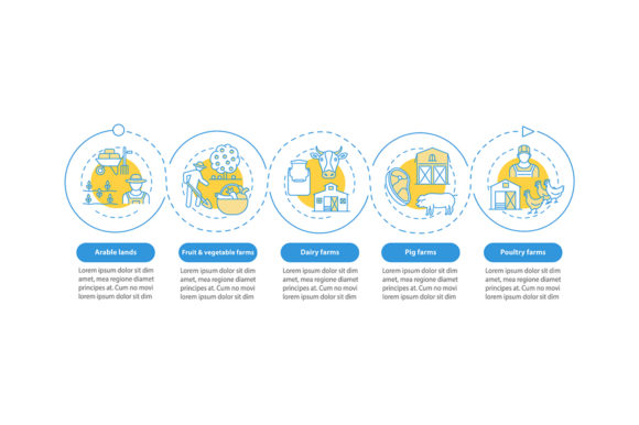 Farm Production Types Vector Infographic for Branding & Packaging